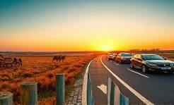 history automotive through the ages, contemplative, depicting the evolution from horse-drawn carriages to modern cars, photorealistic, panoramic field transitioning into a highway, highly detailed, contrasting elements like cobblestone and asphalt, vibrant colors transitioning from earthy tones to metallic, sunrise over horizon, shot with a wide-angle lens